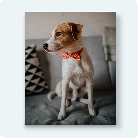 Photo sur Toiles Peronnalis&eacute;es